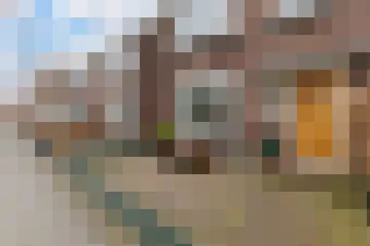Anemoonstraat 50 Koog aan de Zaan thumbnail 5