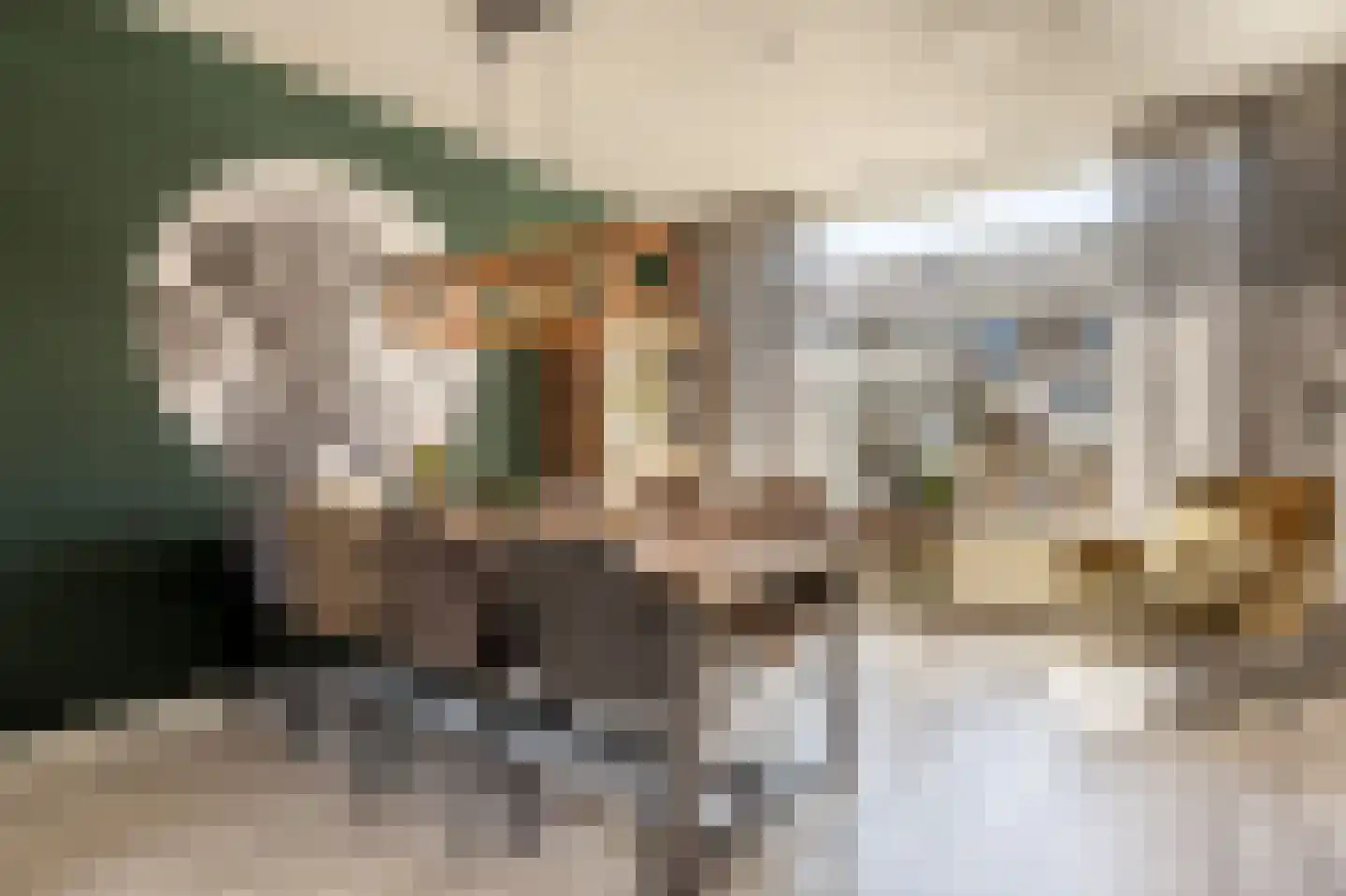 Anemoonstraat 50 Oud-Beijerland thumbnail 11