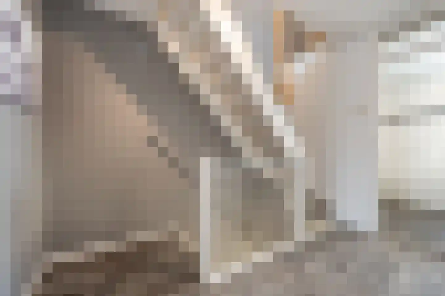 Anemoonstraat 50 Oud-Beijerland thumbnail 20