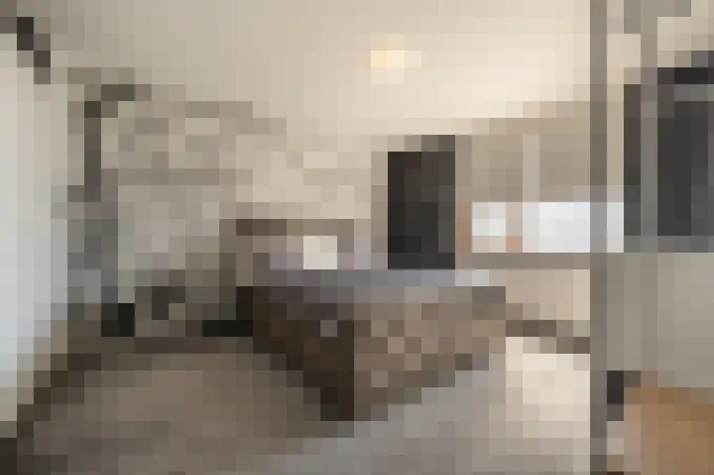 Anemoonstraat 50 Oud-Beijerland thumbnail 27