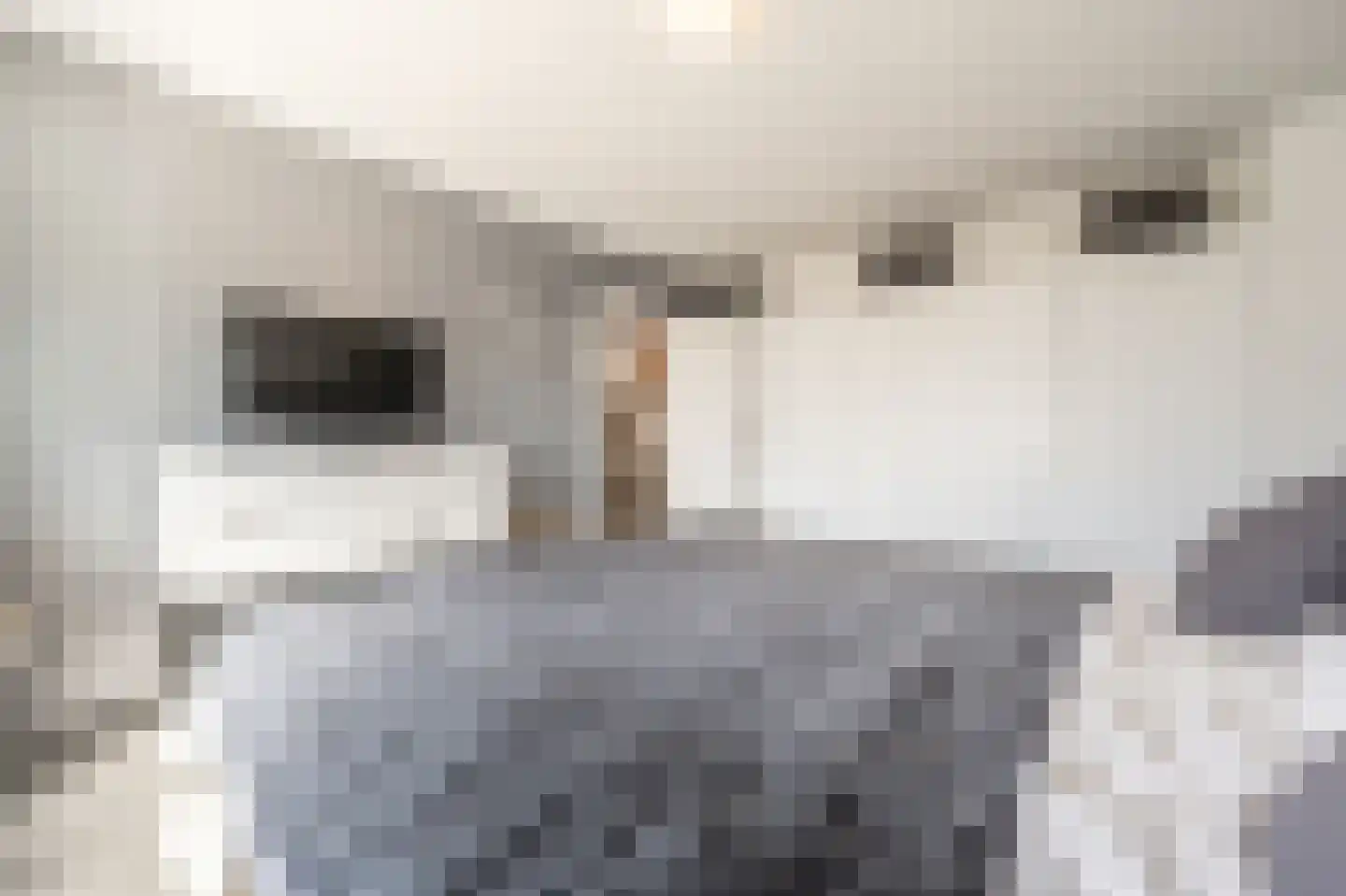Anemoonstraat 50 Oud-Beijerland thumbnail 29