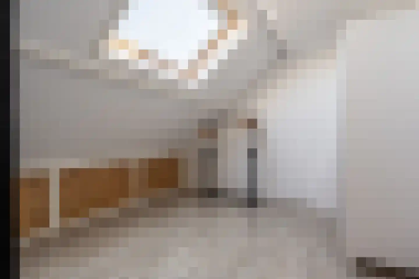 Anemoonstraat 50 Oud-Beijerland thumbnail 35