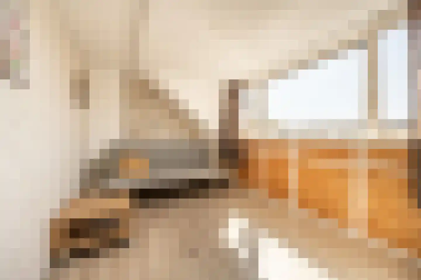 Anemoonstraat 50 Oud-Beijerland thumbnail 37