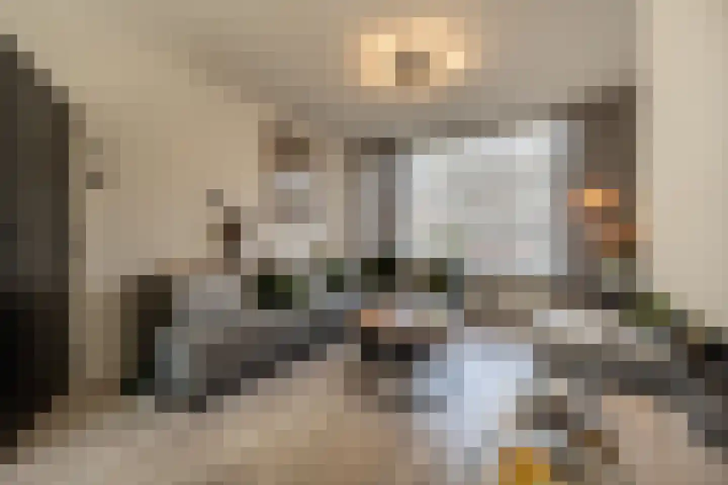 Anemoonstraat 50 Oud-Beijerland thumbnail 7