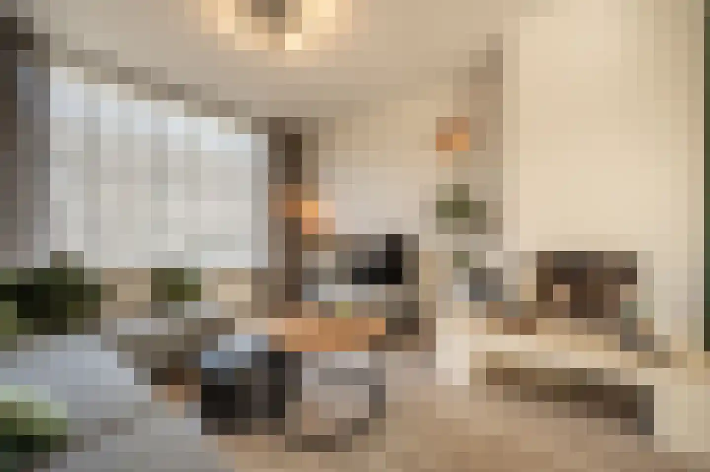 Anemoonstraat 50 Oud-Beijerland thumbnail 8