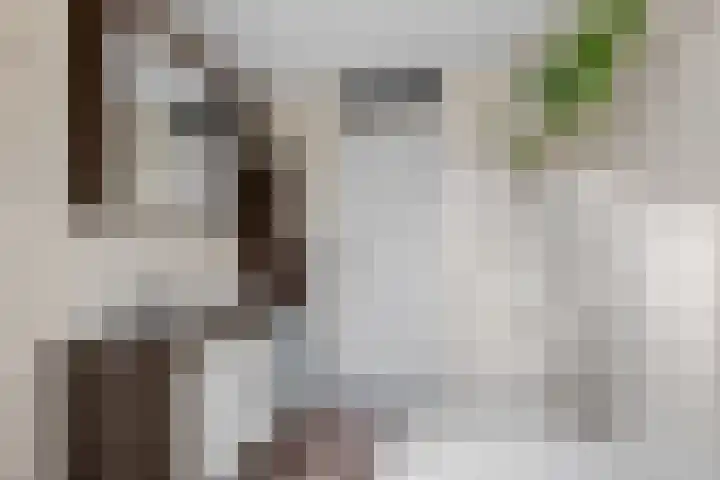 Anemoonstraat 54 Nieuwegein thumbnail 37