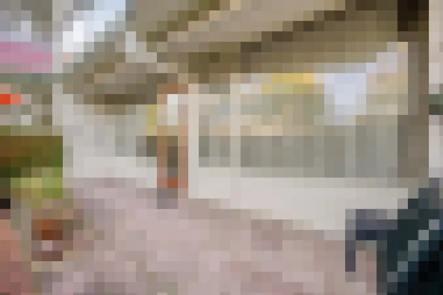 Anemoonstraat 57 Assen thumbnail 11