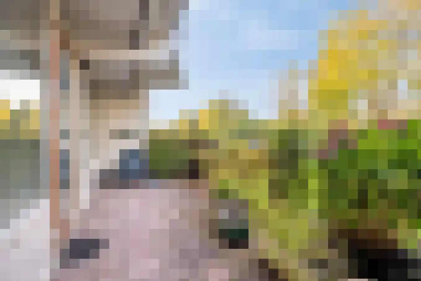 Anemoonstraat 57 Assen thumbnail 12