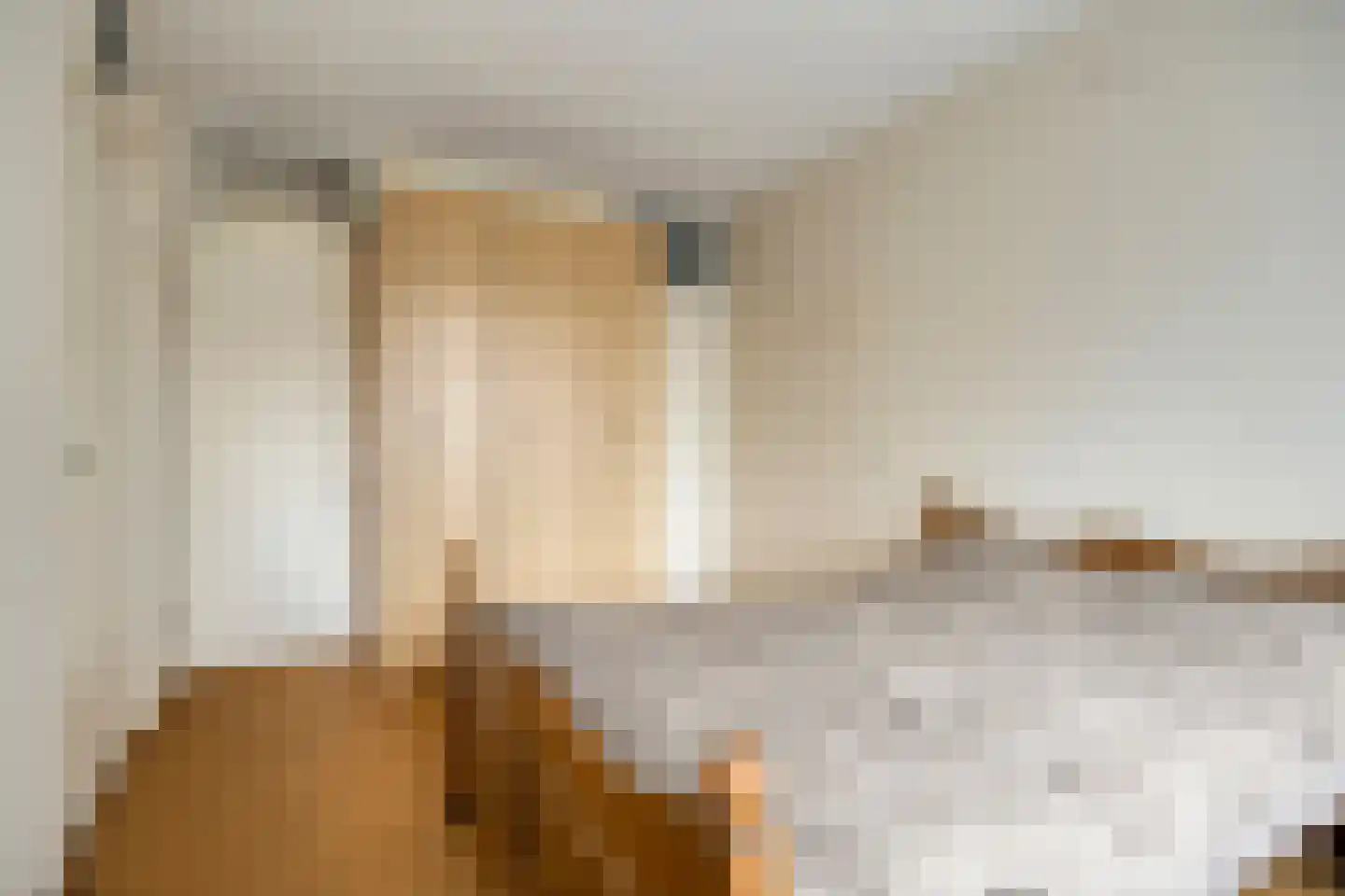 Anemoonstraat 57 Assen thumbnail 17