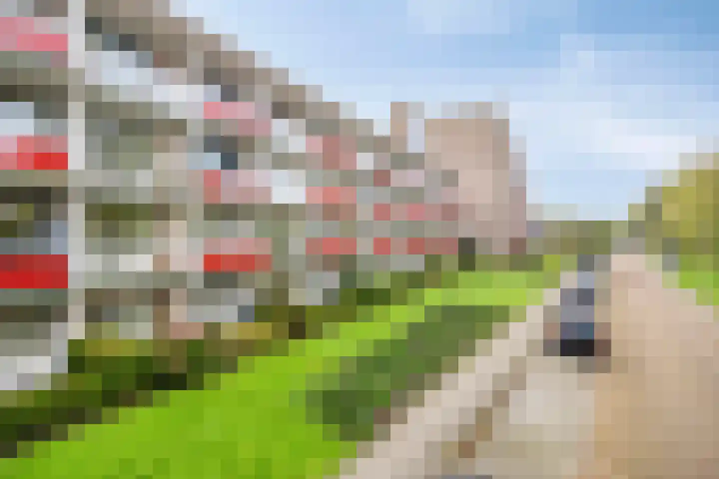 Anemoonstraat 57 Assen thumbnail 22