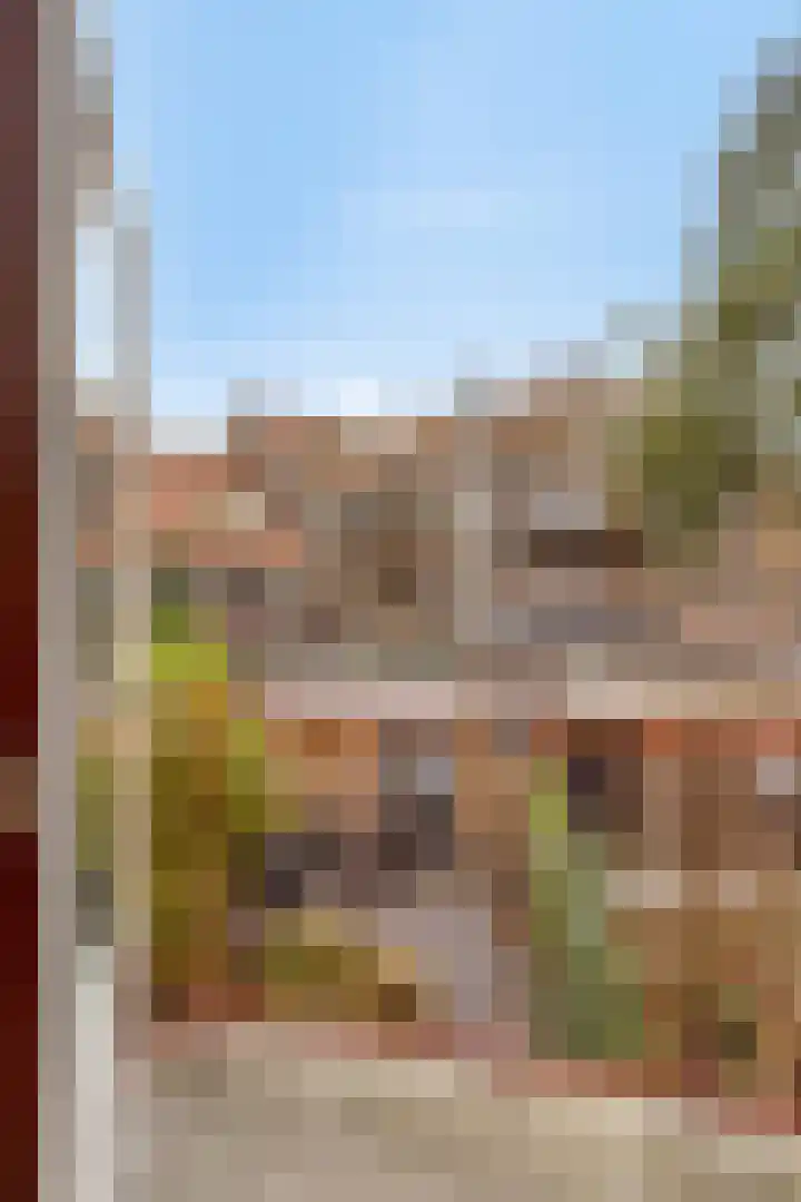 Anemoonstraat 6 A Amsterdam thumbnail 19
