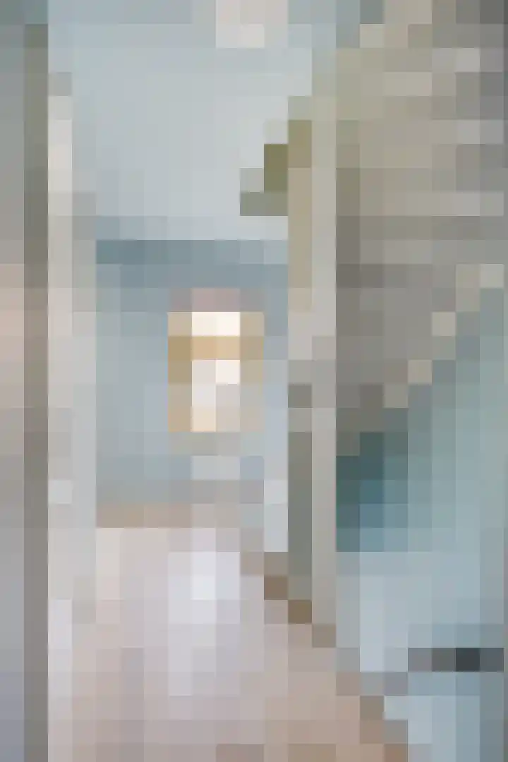 Anemoonstraat 6 A Amsterdam thumbnail 21