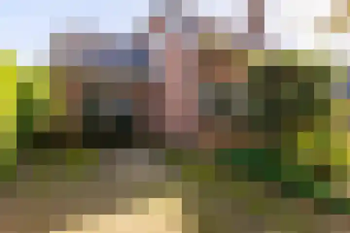 Anemoonstraat 6 Nieuwendijk thumbnail 10