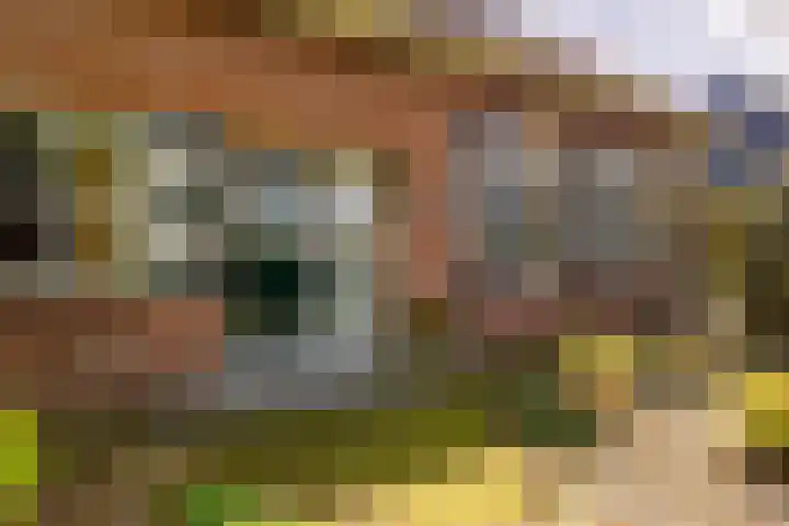 Anemoonstraat 6 Nieuwendijk thumbnail 11