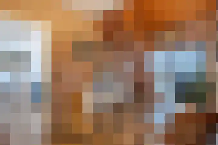 Anemoonstraat 6 Nieuwendijk thumbnail 13