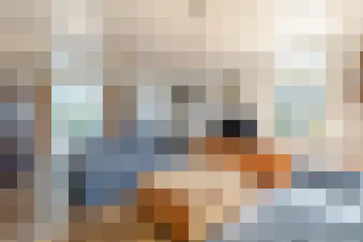 Anemoonstraat 6 Nieuwendijk thumbnail 19