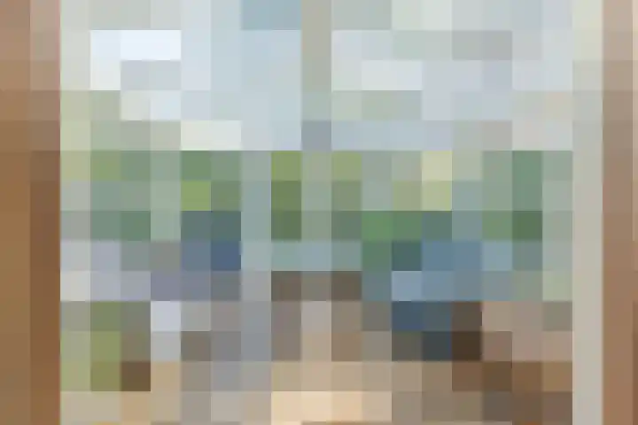 Anemoonstraat 6 Nieuwendijk thumbnail 21