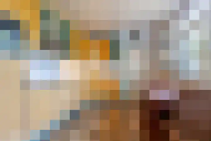Anemoonstraat 6 Nieuwendijk thumbnail 25