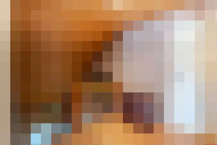 Anemoonstraat 6 Nieuwendijk thumbnail 32