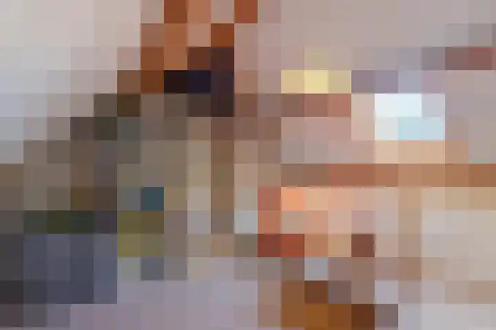 Anemoonstraat 6 Nieuwendijk thumbnail 37