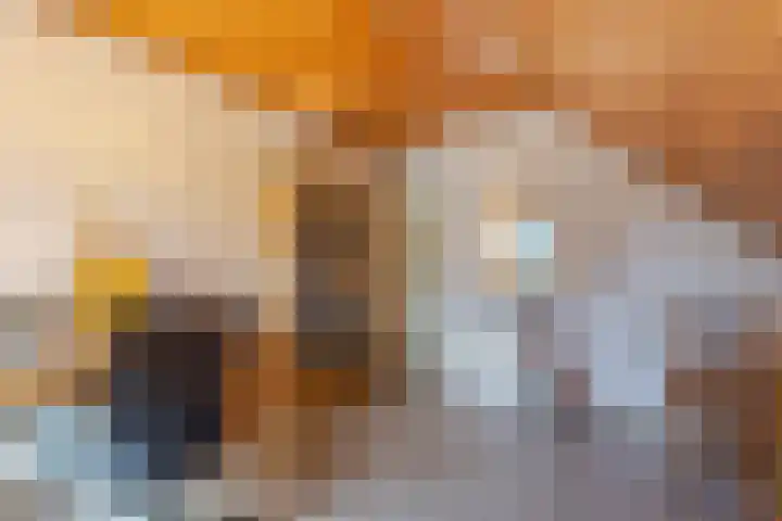 Anemoonstraat 6 Nieuwendijk thumbnail 43