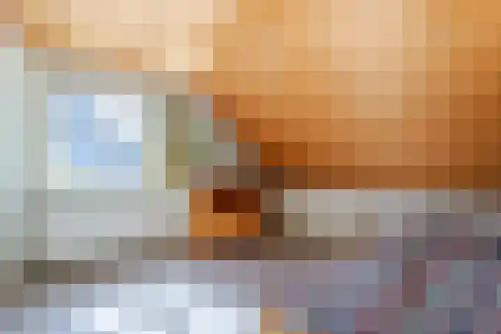 Anemoonstraat 6 Nieuwendijk thumbnail 44