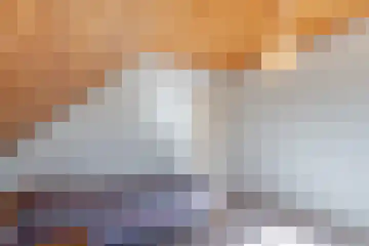 Anemoonstraat 6 Nieuwendijk thumbnail 45