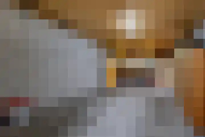 Anemoonstraat 6 Nieuwendijk thumbnail 47