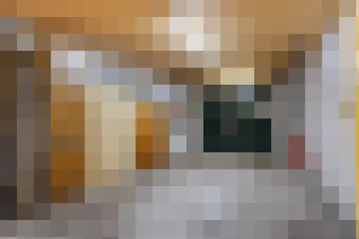 Anemoonstraat 6 Nieuwendijk thumbnail 48