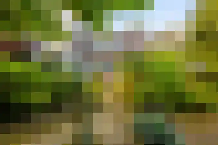 Anemoonstraat 6 Nieuwendijk thumbnail 49