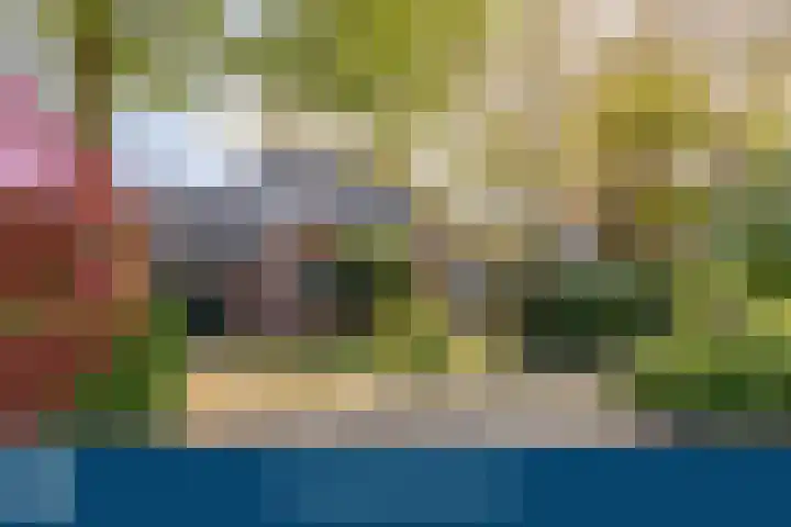 Anemoonstraat 6 Nieuwendijk thumbnail 5