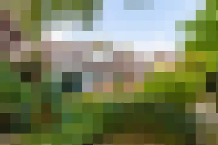 Anemoonstraat 6 Nieuwendijk thumbnail 51