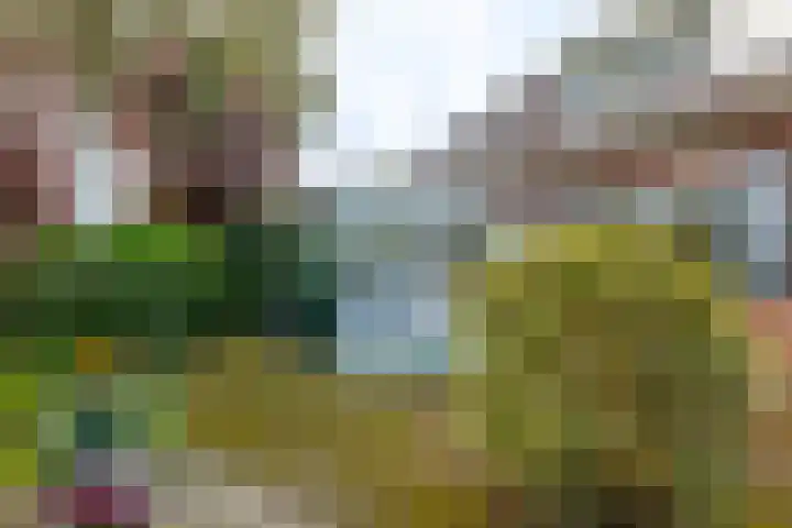 Anemoonstraat 6 Nieuwendijk thumbnail 53