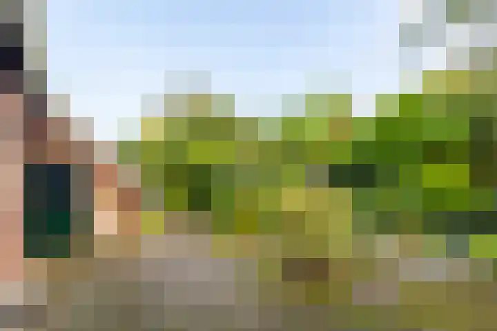 Anemoonstraat 6 Nieuwendijk thumbnail 54