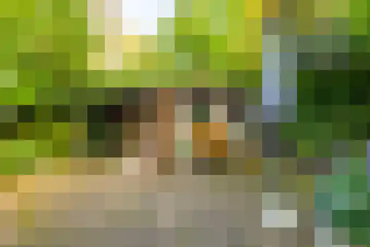 Anemoonstraat 6 Nieuwendijk thumbnail 55