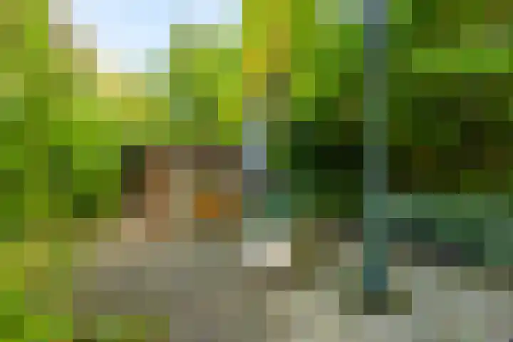 Anemoonstraat 6 Nieuwendijk thumbnail 56