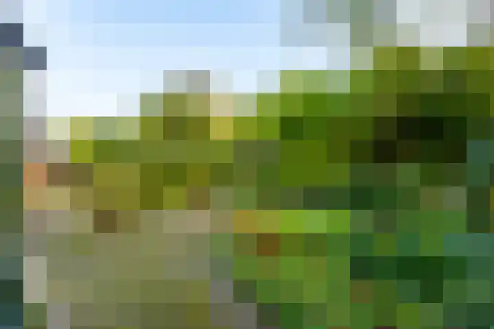 Anemoonstraat 6 Nieuwendijk thumbnail 58