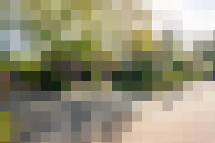 Anemoonstraat 6 Nieuwendijk thumbnail 6