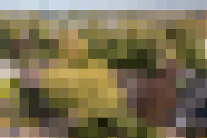Anemoonstraat 6 Nieuwendijk thumbnail 61