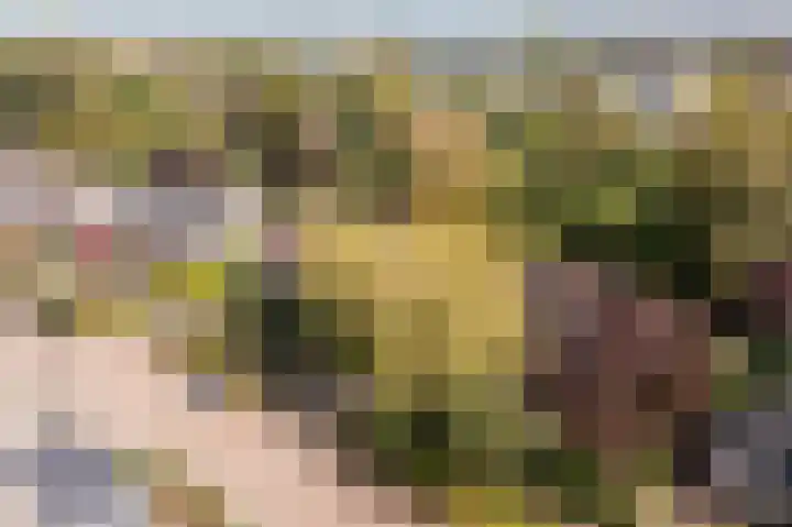 Anemoonstraat 6 Nieuwendijk thumbnail 63