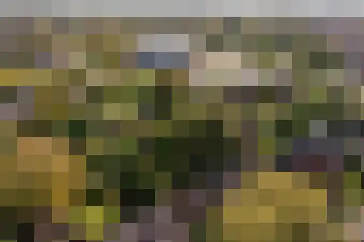 Anemoonstraat 6 Nieuwendijk thumbnail 64