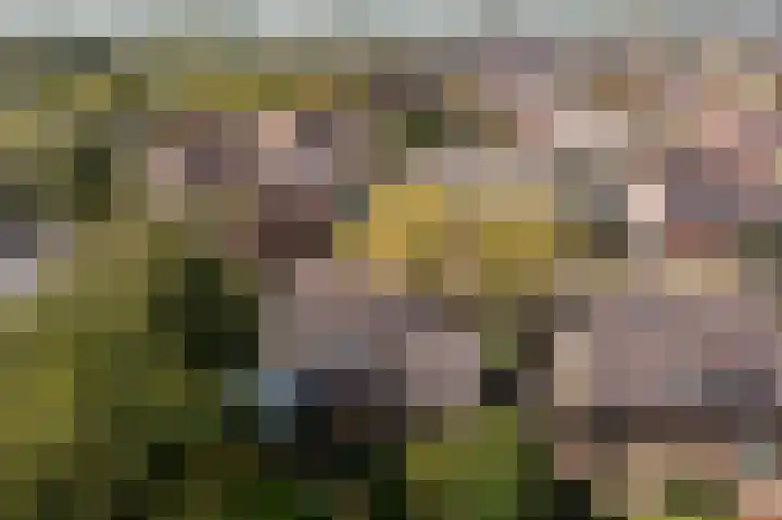 Anemoonstraat 6 Nieuwendijk thumbnail 67