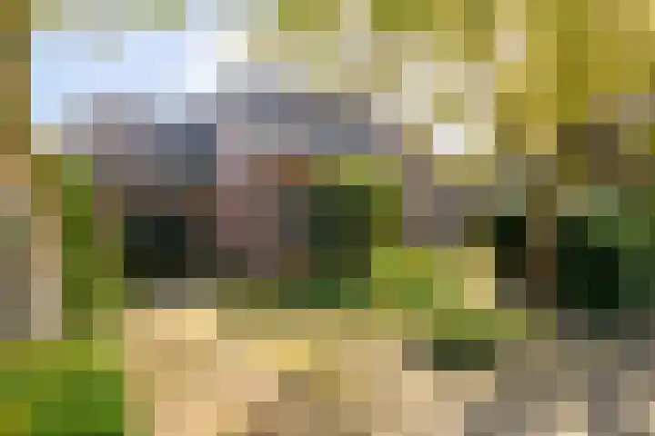 Anemoonstraat 6 Nieuwendijk thumbnail 7