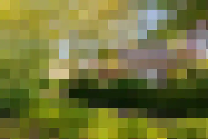 Anemoonstraat 6 Nieuwendijk thumbnail 8