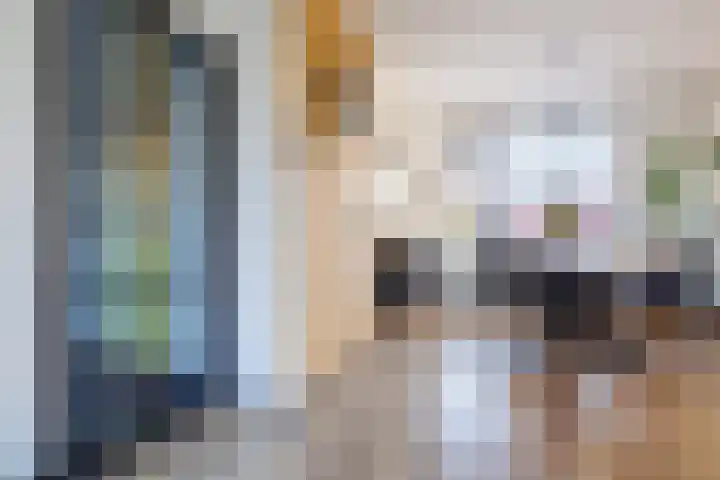 Anemoonstraat 6 Siebengewald thumbnail 14
