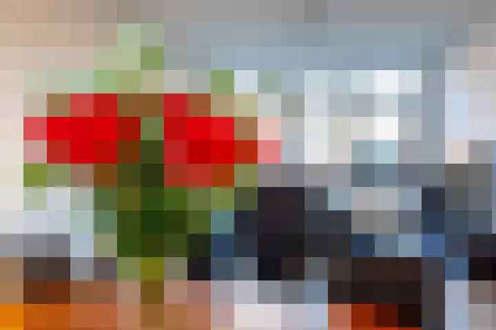 Anemoonstraat 6 Siebengewald thumbnail 17