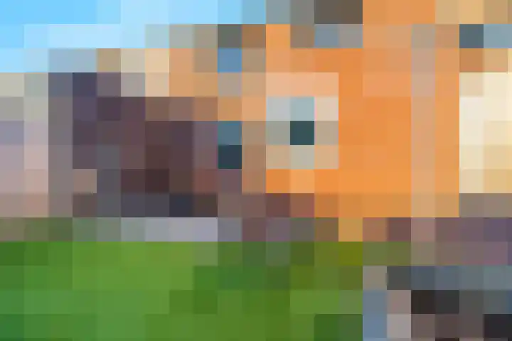 Anemoonstraat 6 Siebengewald thumbnail 40