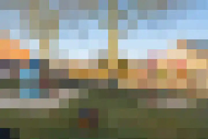 Anemoonstraat 6 Siebengewald thumbnail 46