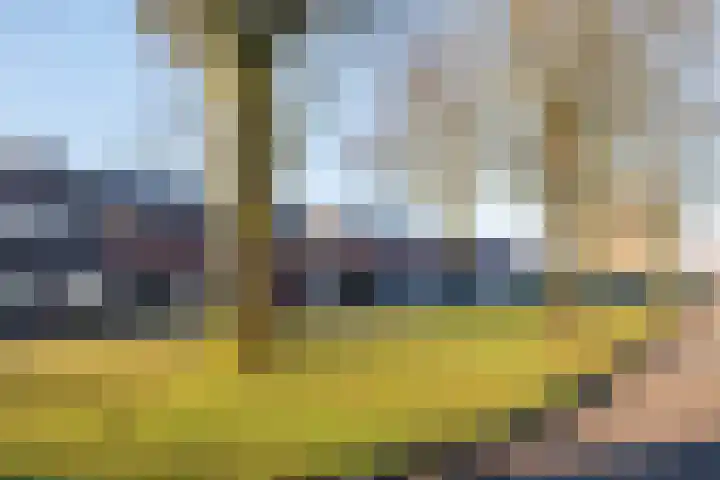 Anemoonstraat 6 Siebengewald thumbnail 48