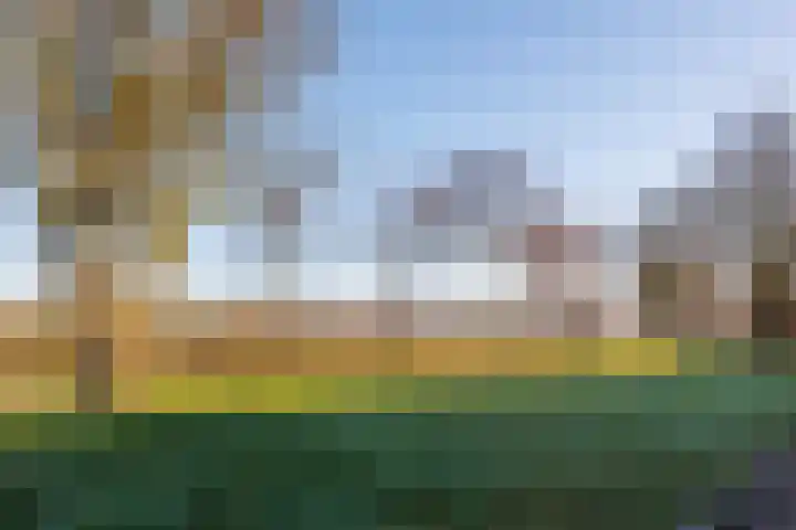 Anemoonstraat 6 Siebengewald thumbnail 49
